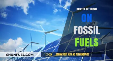 Sustainable Steps: Reducing Fossil Fuel Dependence for a Greener Future