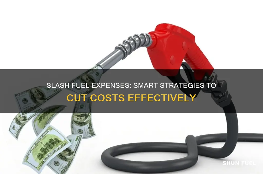 how to cut fuel costs