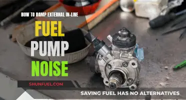 Quieting Noisy In-Line Fuel Pumps: External Fixes