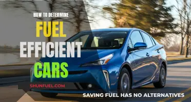 Fuel-Efficient Cars: How to Identify the Best