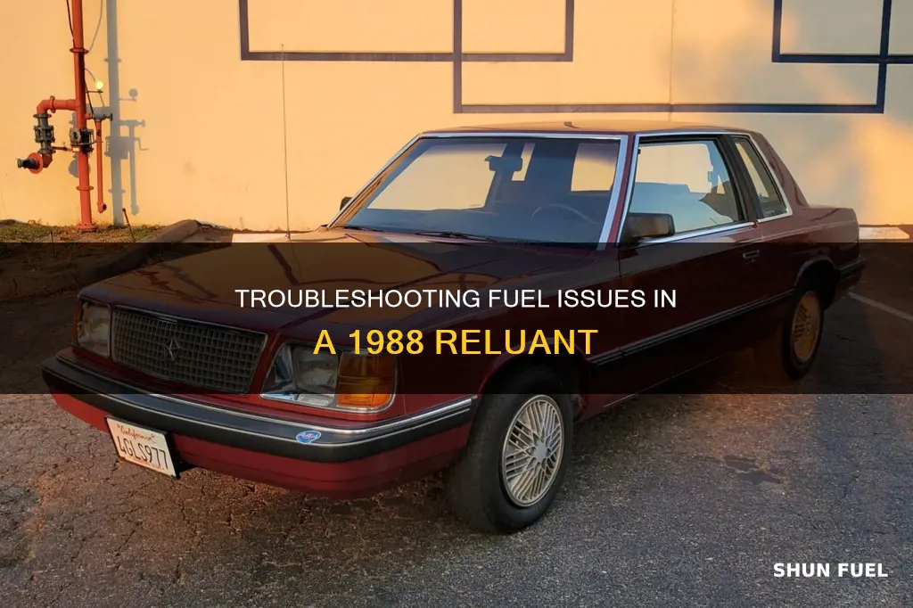 how to determine fuel problem on 1988 reluant car