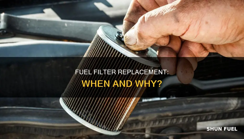how to determine if you need a fuel filter