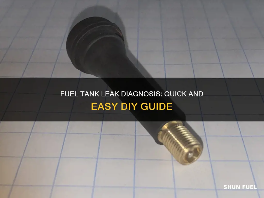 how to diagnose an automotive fuel tank leak