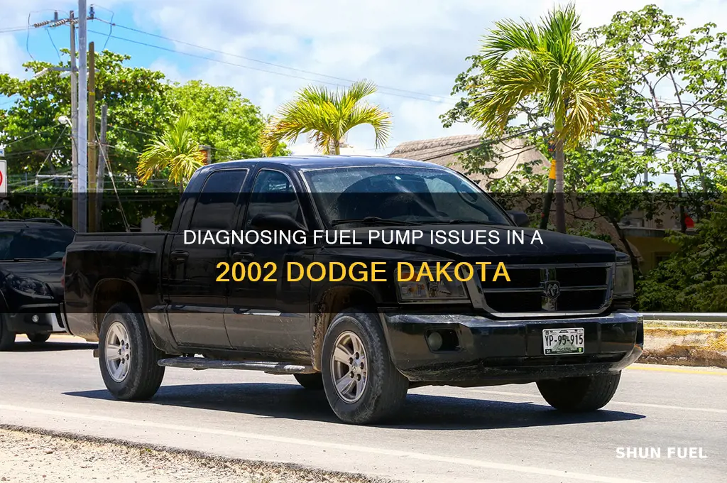 how to diagnose fuel pump 2002 dodge dakota