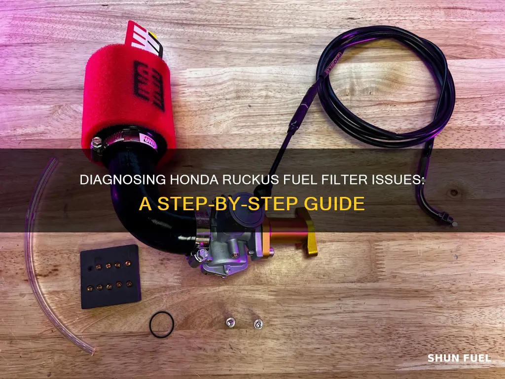 how to diagnose honda ruckus fuel filter