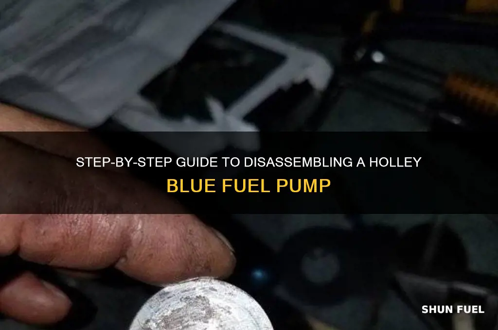 how to disassemble a holley blue fuel pump