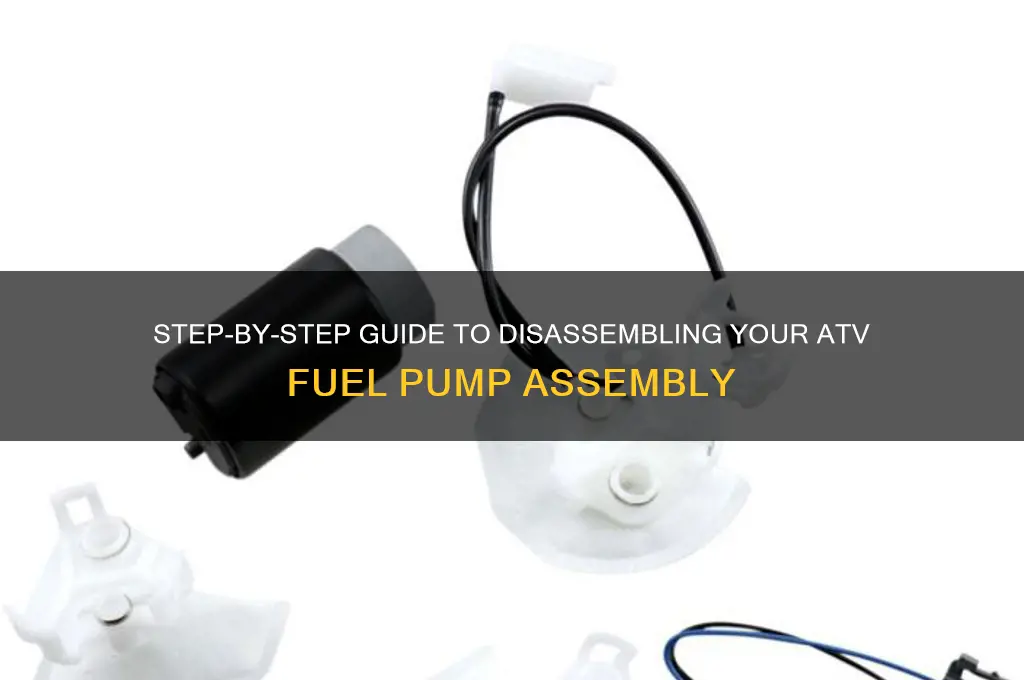 how to disassemble atv fuel pump assembly