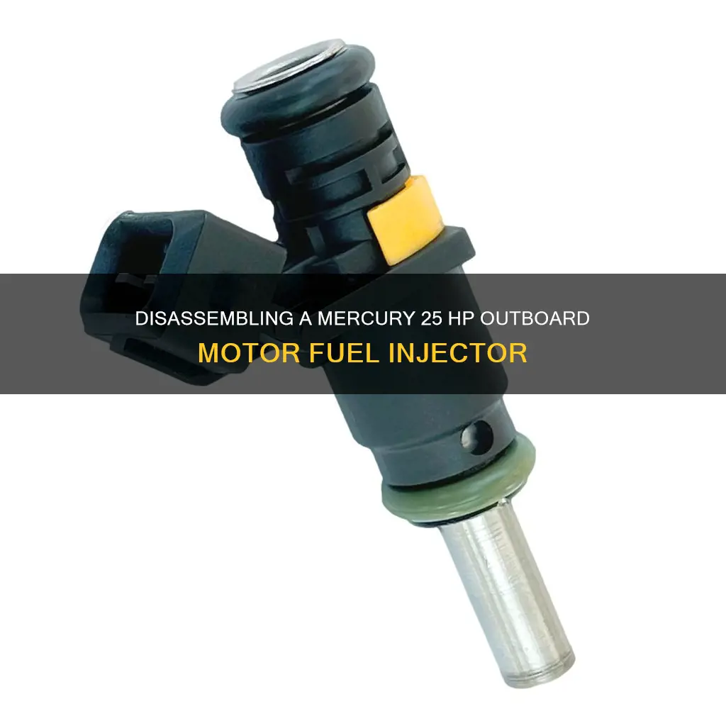 how to disassemble mercury 25 hp outboard motor fuel injector