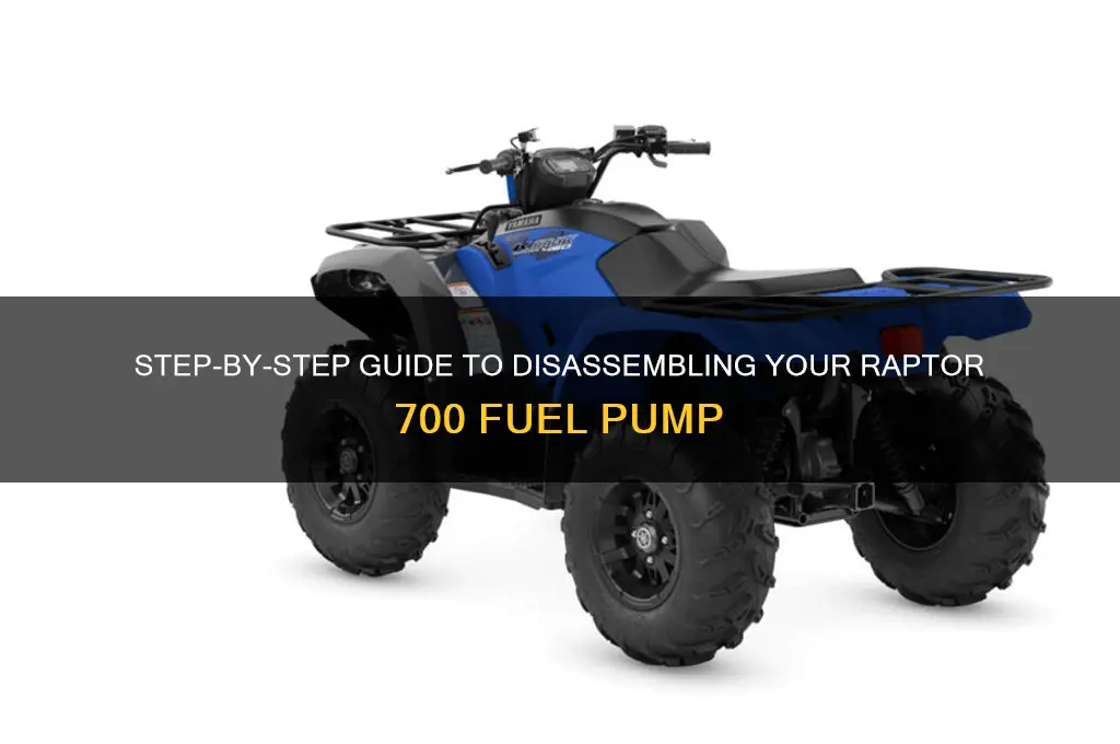 how to disassemble raptor 700 fuel pump