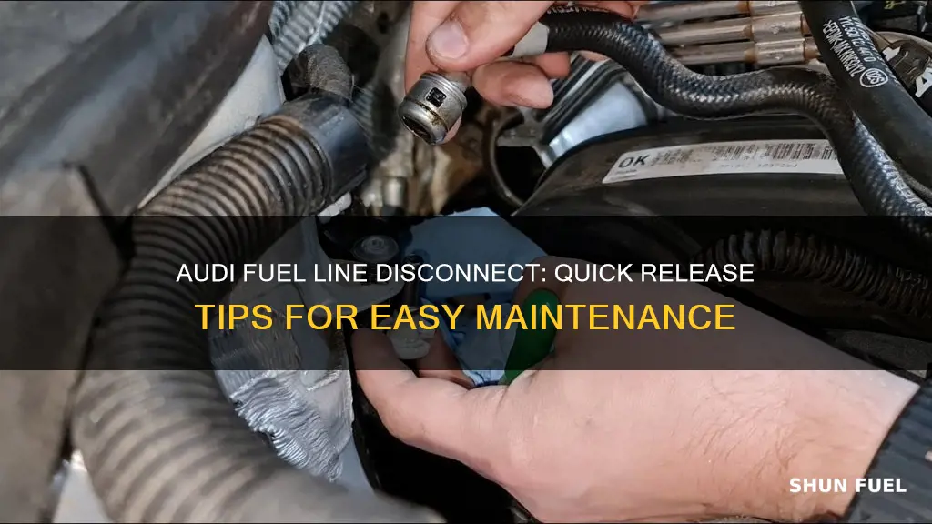 how to disconnect audi fuel linesquick release fuel lines