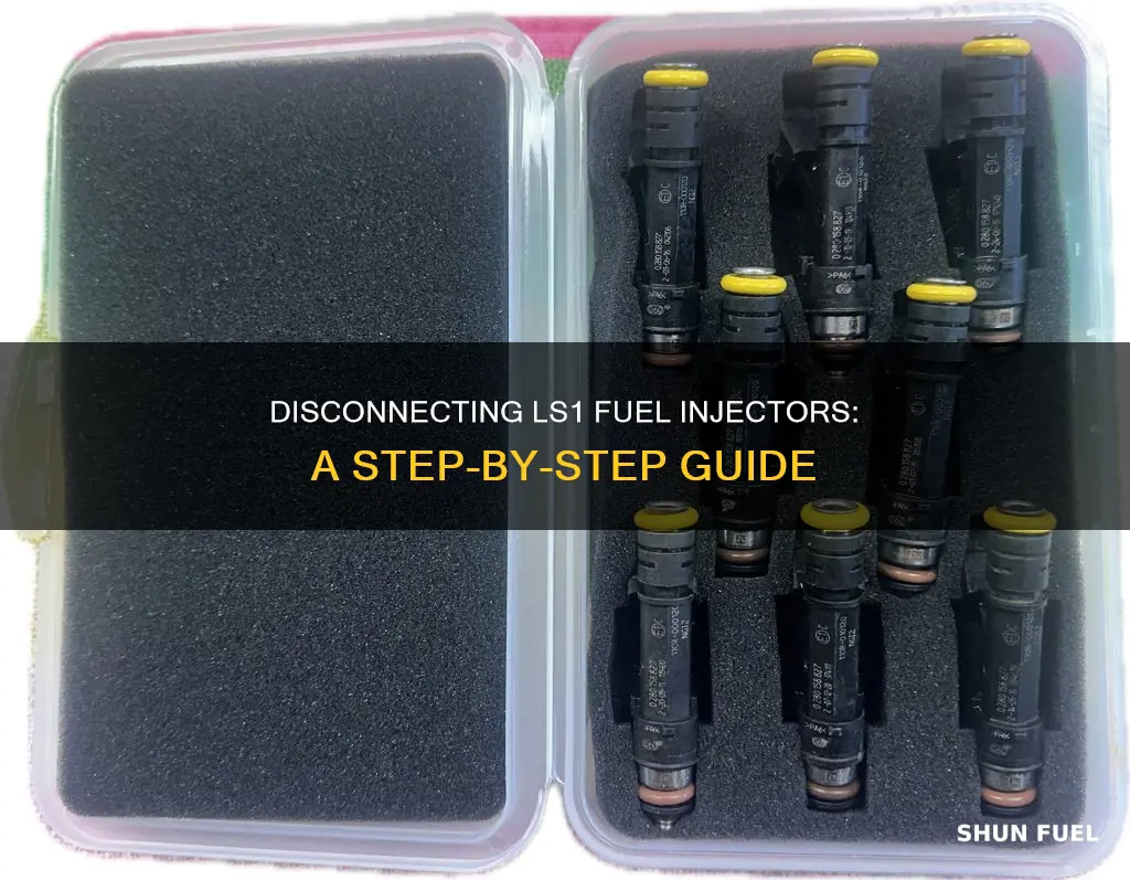 how to disconnect fuel injectors ls1