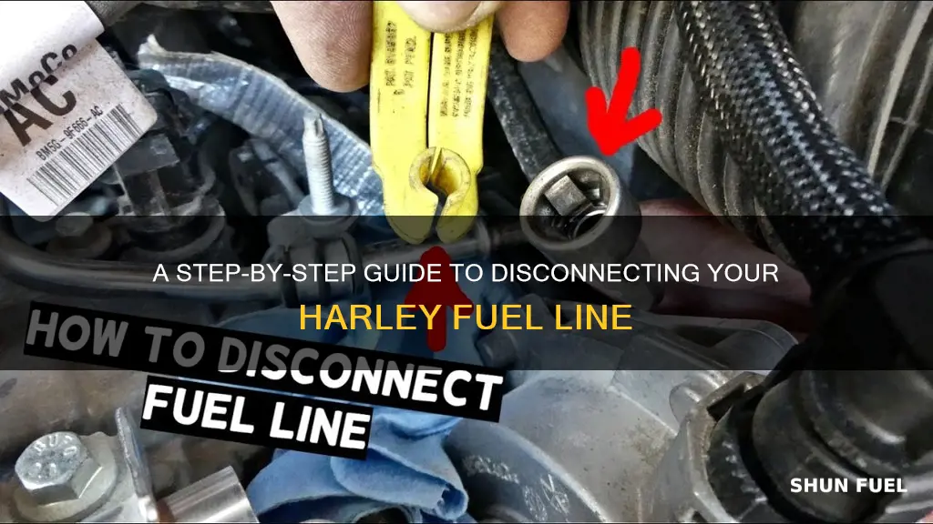 how to disconnect harley fuel line