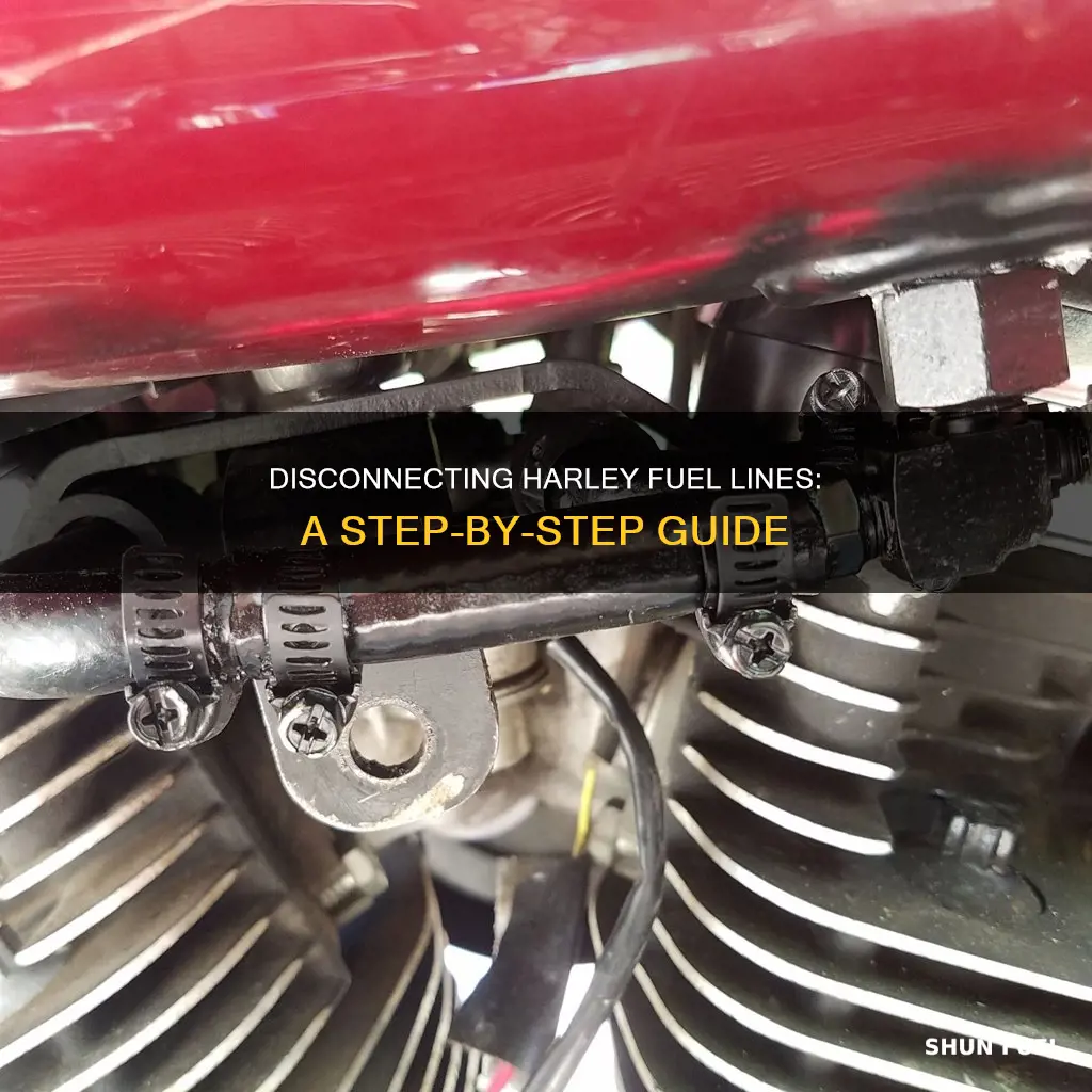 how to disconnect harley fuel line
