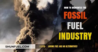 Ending Fossil Fuel Dominance: Strategies to Dismantle the Industry