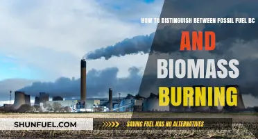 Fossil Fuel vs. Biomass Burning: Key Differences and Identification Tips