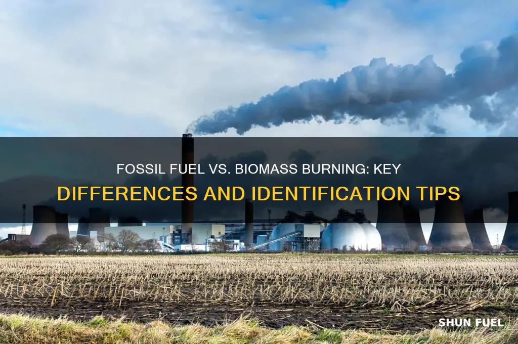 how to distinguish between fossil fuel bc and biomass burning
