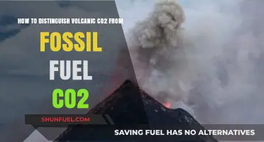 Unraveling the Mystery: Differentiating Volcanic CO2 from Fossil Fuel Emissions