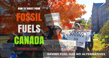 Divesting from Fossil Fuels in Canada: A Step-by-Step Guide