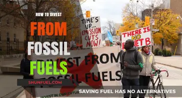 Sustainable Investing: Strategies to Divest from Fossil Fuels and Go Green