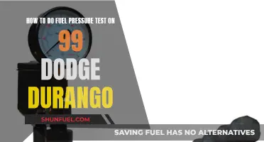 Fuel Pressure Test Guide for '99 Dodge Durango Owners