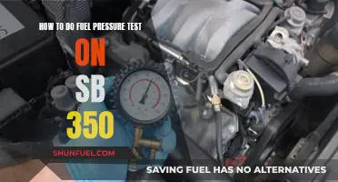 Testing Fuel Pressure: SB 350 Basics