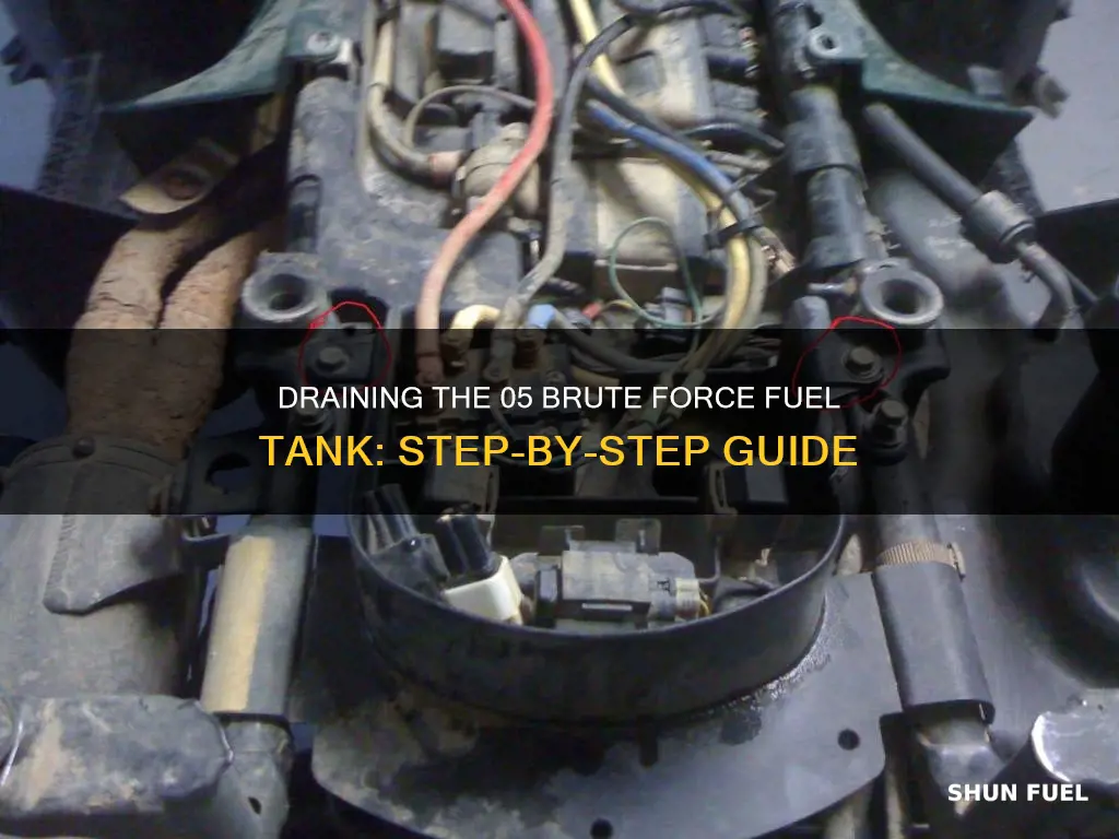 how to drain fuel tank 05 brute force