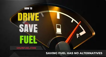 Efficient Driving Tips to Save Fuel and Reduce Costs