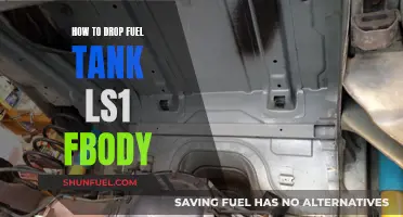 Dropping the Fuel Tank: LS1 F-Body Guide
