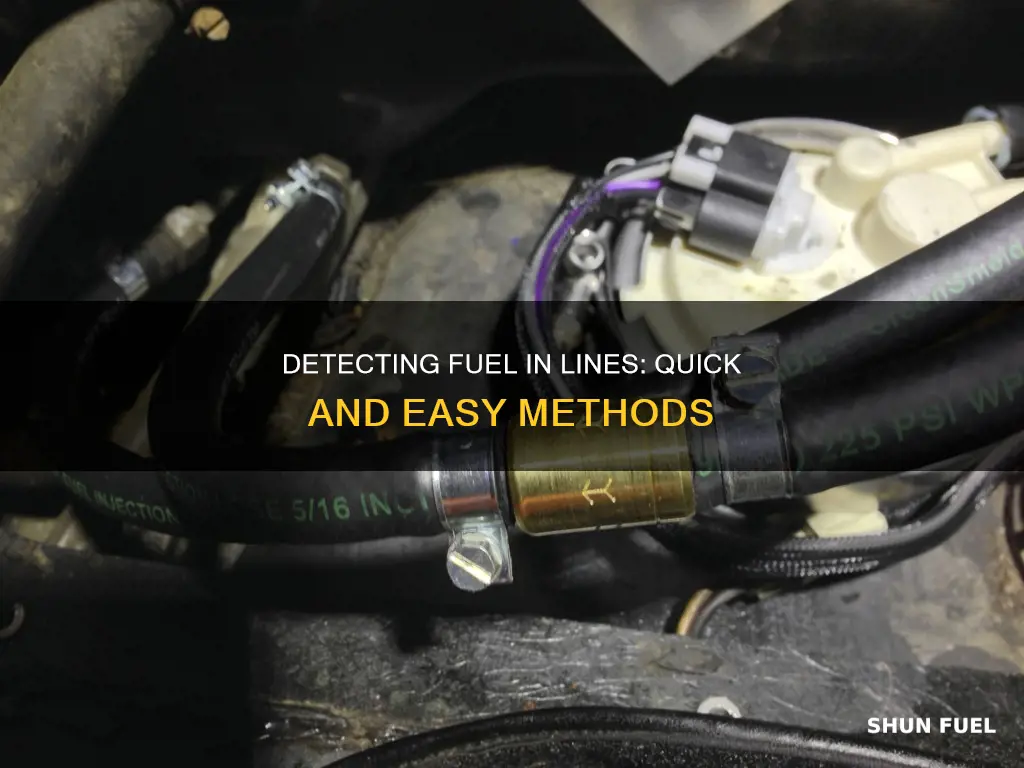 how to easily tell if fuel is in line