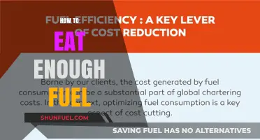 Fuel Your Body Right: Smart Strategies for Eating Enough Daily