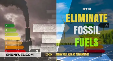 Accelerating the Transition: Strategies to Eliminate Fossil Fuels for a Sustainable Future