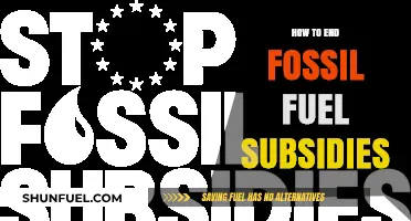 Ending Fossil Fuel Subsidies: A Roadmap to Sustainable Energy Transition