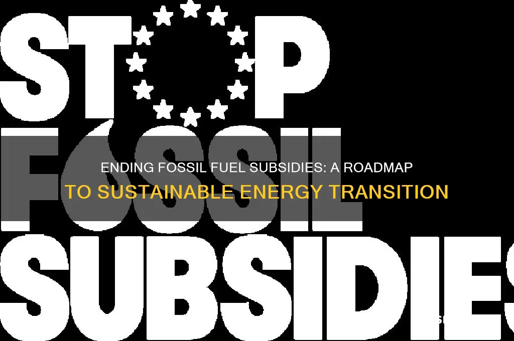 how to end fossil fuel subsidies