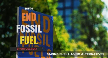 Accelerating the Transition: Strategies to End Fossil Fuel Dependence