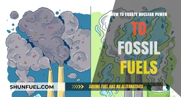 Comparing Nuclear Power and Fossil Fuels: Energy, Emissions, and Economics