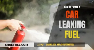 Escape a Fuel-Leaking Car: Quick and Safe Strategies