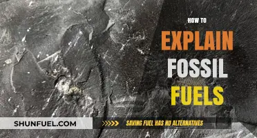 Understanding Fossil Fuels: A Simple Guide to Their Formation and Impact