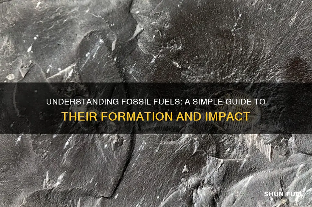 how to explain fossil fuels