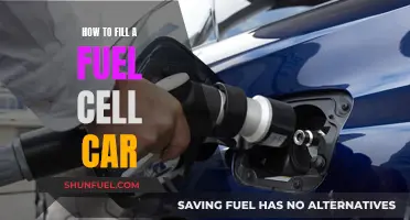 The Future of Fuel: Filling Up Your Cell Car