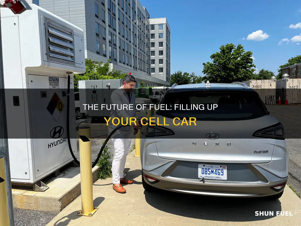 how to fill a fuel cell car