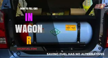 Fueling Your Wagon R: A Step-by-Step Guide to CNG Refilling