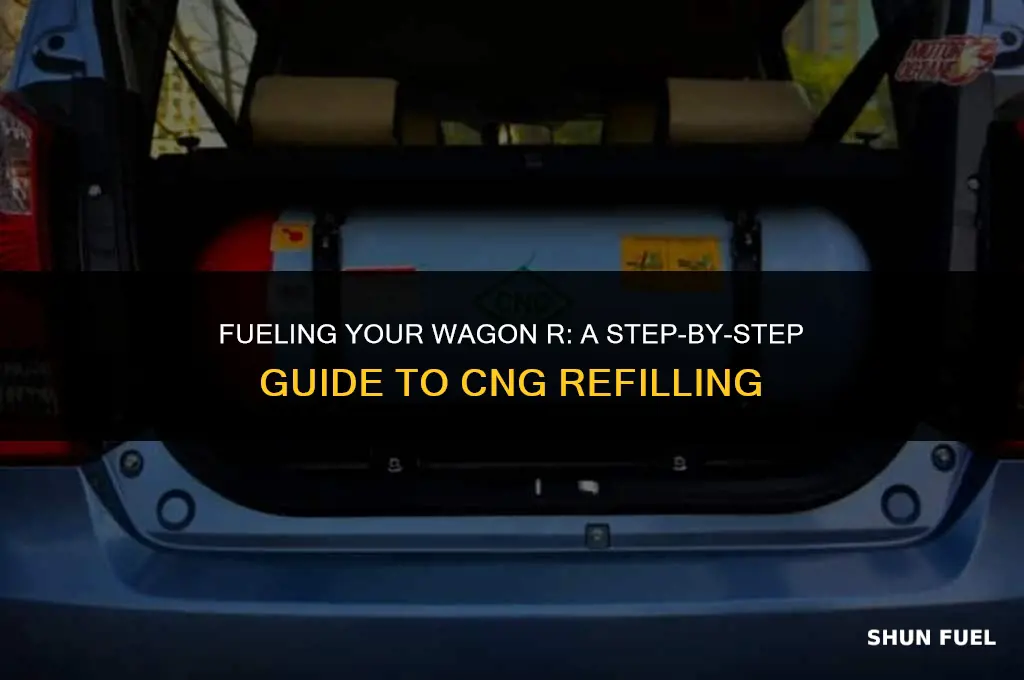 how to fill cng in wagon r