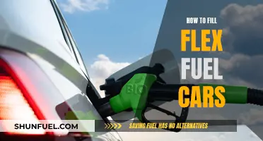 Flex Fuel Basics: A Guide to Filling Up Your Car