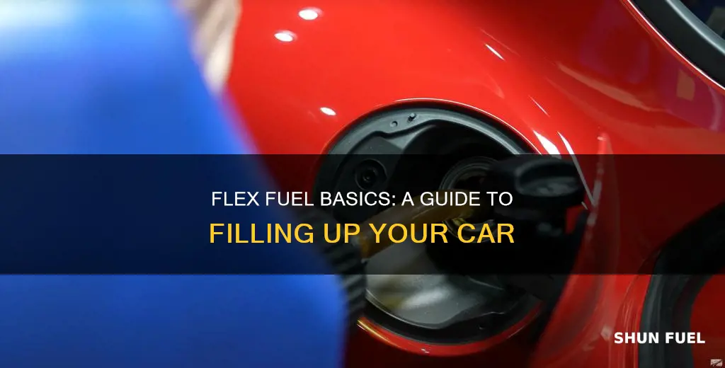 how to fill flex fuel cars