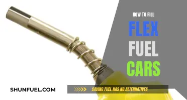 The Ultimate Guide to Filling Flex Fuel Cars