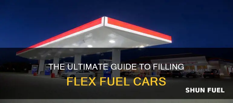 how to fill flex fuel cars