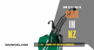 Filling Up Your Car: A Guide for New Zealanders