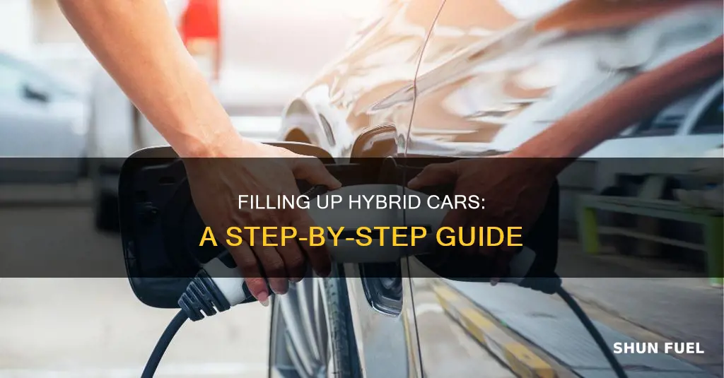 how to fill in fuel hybrid cars