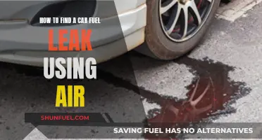 Air Pressure Test: Finding Car Fuel Leaks