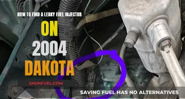 Finding and Fixing Leaky Fuel Injectors in a 2004 Dakota